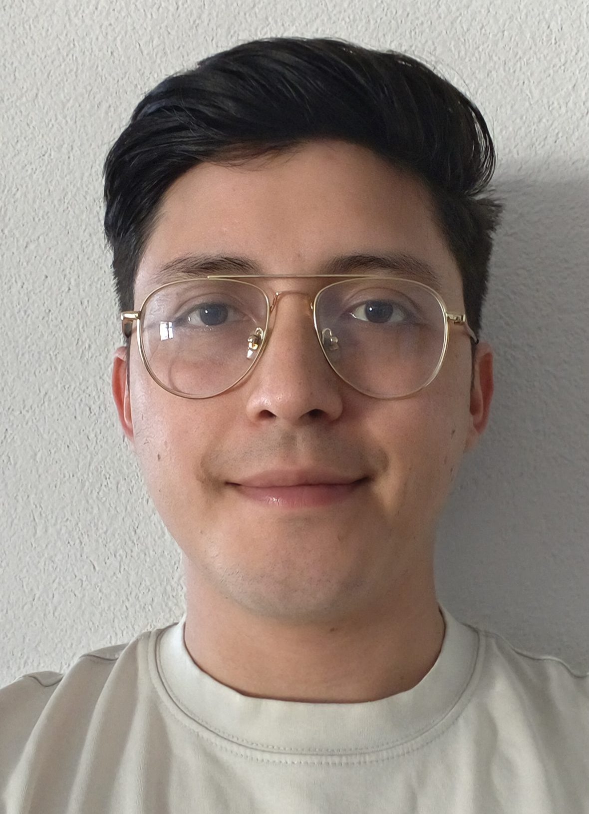 Professional portrait of Nicolas Santiago Ruiz Hurtado